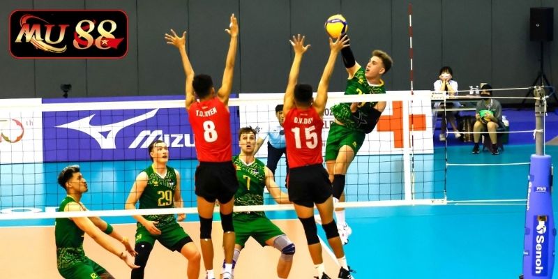 Cách cá cược bóng chuyền nhà cái MU88 hay 